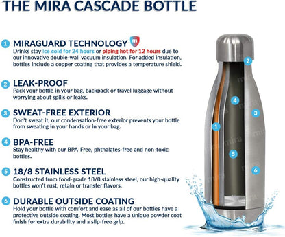 Insulated Water Bottle