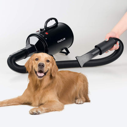 Dog Grooming Drye