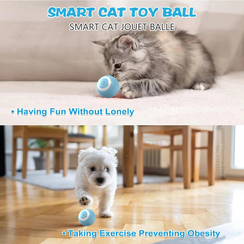 Cat Interactive Ball Electric Automatic Toys for Cats 